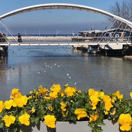 Yalova_merkez Yalova (Yalova)